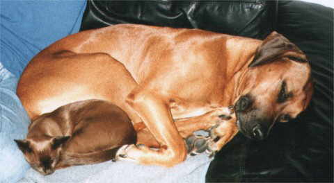 Jele und Thandi kuscheln