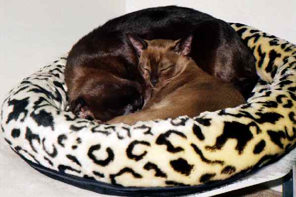 Mocha Mae mit Thandi